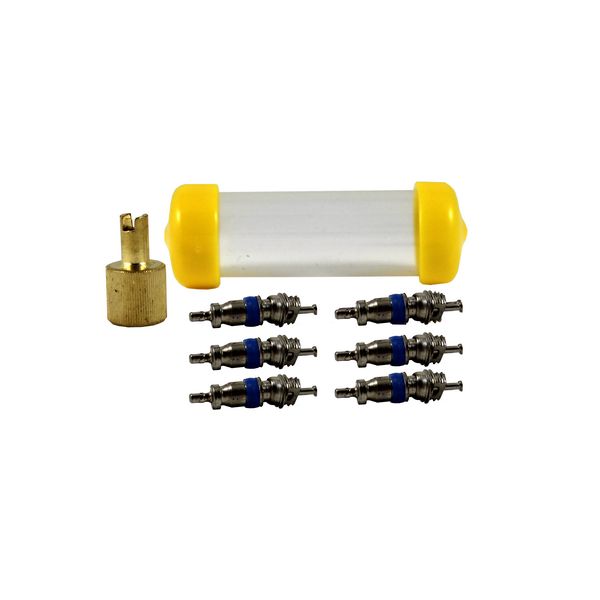 Refrigeration Valve Core Kit